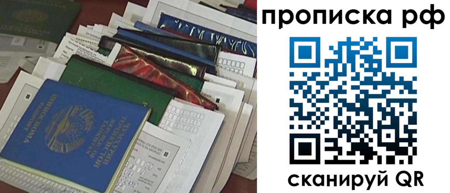 прописка в Вологде